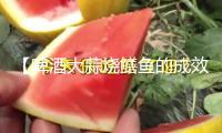 【啤酒大蒜燒鱔魚(yú)的成效】