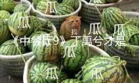 《中餐廳9》丁禹兮才是瑰寶男孩，會(huì)英語，精干，還有性情魅力