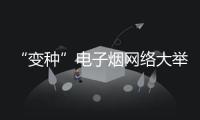 “變種”電子煙網(wǎng)絡(luò)大舉售賣 專家建議：壓實(shí)電商渠道職責(zé)