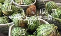 “未產生任何突擊事情” 胡塞裝備否定其高級官員遭襲