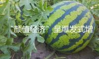 “顏值經(jīng)濟(jì)”呈爆發(fā)式增長，平臺(tái)推新服務(wù)直指市場信息雜亂、效果無保障等痛點(diǎn)