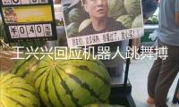 王興興回應(yīng)機器人跳舞搏斗：在完成終極目標前 先發(fā)生一部分商業(yè)價值