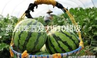 燕京啤酒發(fā)力510超級品牌日，六年完結破圈傳達范本