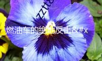 燃油車的絕地反擊！奇瑞瑞虎7宗族上新：7.99萬(wàn)起售，裝備很高