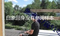 白象回身沒有參閱樣本