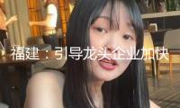 福建：引導(dǎo)龍頭企業(yè)加快布局氫能工業(yè)，加大對(duì)工業(yè)鏈配套企業(yè)支撐力度