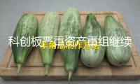 科創(chuàng)板嚴(yán)重資產(chǎn)重組繼續(xù)活潑 年內(nèi)44家發(fā)布新方案