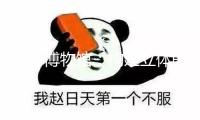 秦嶺博物館：構建立體的“秦嶺百科全書”