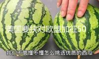 美國(guó)要挾對(duì)歐盟加征50%關(guān)稅 歐洲面對(duì)的經(jīng)濟(jì)危險(xiǎn)有多大？