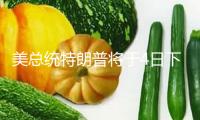 美總統(tǒng)特朗普將于4日下午簽署“大而美”法案