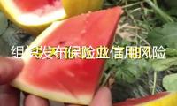 組織發(fā)布保險業(yè)信用風險展望