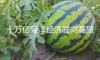 十萬億海洋經(jīng)濟駛向高質量開展“藍海”