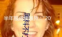 半年報(bào)成績暴升 “20cm”漲停！凈利有望暴增17倍 超跌優(yōu)質(zhì)DeepSeek概念股曝光