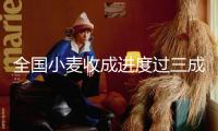 全國小麥?zhǔn)粘蛇M(jìn)度過三成 面積達(dá)1.29億畝