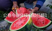 公募今年分紅金額已超1200億元