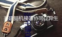 共建腦機(jī)接口協(xié)同立異生態(tài)