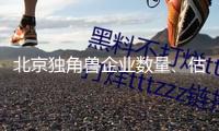 北京獨(dú)角獸企業(yè)數(shù)量、估值多年全國榜首，正構(gòu)建長效生態(tài)