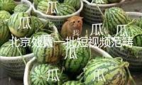 北京處置一批短視頻范疇歹意營銷問題賬號