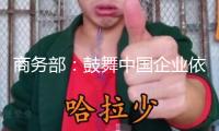 商務(wù)部：鼓舞中國企業(yè)依照市場化準(zhǔn)則拓寬對南亞經(jīng)貿(mào)合作