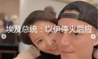埃及總統(tǒng)：以伊?；鸷髴?yīng)立即完成加沙?；? width=
