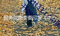 國務(wù)院國資委印發(fā)《中心企業(yè)發(fā)展規(guī)劃管理辦法》