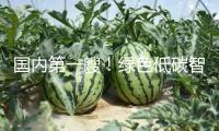 國(guó)內(nèi)第一艘！綠色低碳智能甲醇雙燃料集裝箱船今天交給