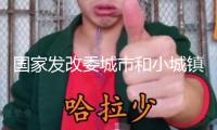 國(guó)家發(fā)改委城市和小城鎮(zhèn)變革開(kāi)展中心：以“兩重”“兩新”資金為抓手 加大新式城鎮(zhèn)化要點(diǎn)范疇投入