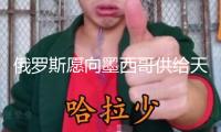俄羅斯愿向墨西哥供給天然氣