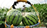 產(chǎn)銷對接+消費(fèi)新場景，廣州“助荔”舉動讓荔枝從枝頭甜到舌頭