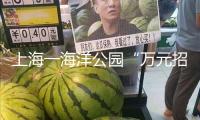 上海一海洋公園“萬(wàn)元招聘虎鯨搓澡師”？園方回應(yīng)