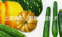 上海浦東：聚集關(guān)鍵技術(shù) 推進(jìn)減速器、靈活手、控制器等一批要點(diǎn)零部件企業(yè)在浦東快速集聚