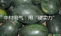 中材電氣：用“硬實(shí)力”贏得商場 本年歐洲商場新簽合同已超8000萬元