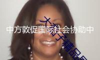 中方敦促?lài)?guó)際社會(huì)協(xié)助中部非洲國(guó)家遏止安全要挾