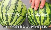 中文在線(xiàn)：《羅小黑戰(zhàn)記》與泡泡瑪特旗下共識(shí)GONG敞開(kāi)聯(lián)名企劃