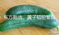 東方甄選、黃子韜紛繁自建品牌做衛(wèi)生巾，能否處理安全焦慮？