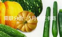 乘聯(lián)分會(huì)：5月份皮卡商場(chǎng)出售5.2萬(wàn)輛，同比增13.6%