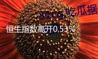 恒生指數(shù)高開0.53% 恒生科技指數(shù)漲0.54%