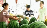 房企跨界玩起潮玩 你會(huì)因LABUBU買房嗎？