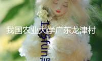 我國農(nóng)業(yè)大學(xué)廣東龍津村村莊復(fù)興教授工作站揭牌