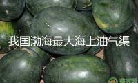 我國(guó)渤海最大海上油氣渠道竣工起運(yùn)