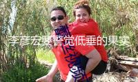 李彥宏要警覺低垂的果實(shí)