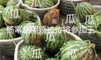 楊冪趙麗穎被傳將參加王家衛(wèi)新片？工作人員否定