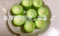 暴雨黃色預(yù)警：福建、廣東、廣西、海南等地部分地區(qū)有大到暴雨