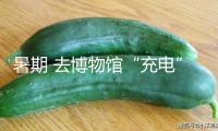 暑期 去博物館“充電”