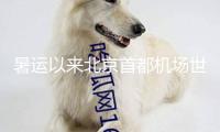 暑運以來北京首都機場世界及區(qū)域日均客流量同比增17%