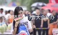未來(lái)轎車先行者大會(huì)舉辦，懂車帝發(fā)布轎車八大人群新能源用車陳述