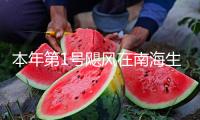 本年第1號(hào)颶風(fēng)在南海生成，國家防總針對廣東海南發(fā)動(dòng)防汛防颶風(fēng)四級(jí)應(yīng)急呼應(yīng)