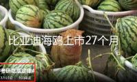 比亞迪海鷗上市27個月累計銷量超100萬輛