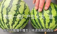 泰國一紙廠產(chǎn)生火災(zāi)，超10人受傷并有多人失蹤