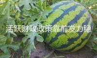 活躍財(cái)政政策靠前發(fā)力穩(wěn)增加 下半年“繼續(xù)用力”空間足